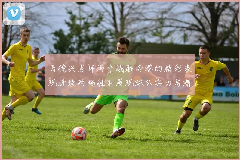 马德兴点评海牛战胜海港的精彩表现连续两场胜利展现球队实力与潜力