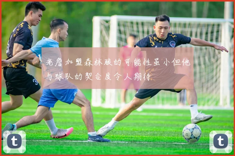 老詹加盟森林狼的可能性虽小但他与球队的契合度令人期待